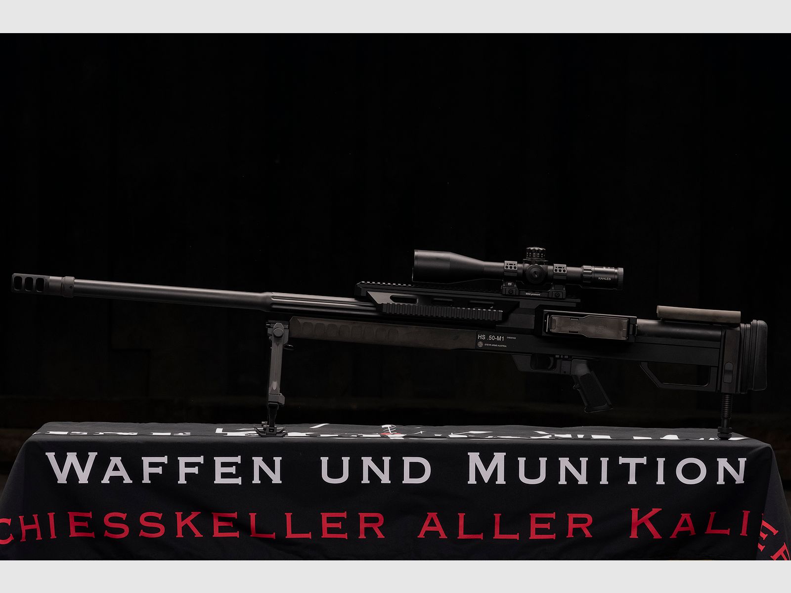 Steyr HS .50 M1, afbeelding 2 van 10