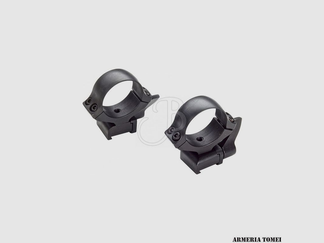 CZ – MOUNT RAIL 2PCS – RINGS 1"