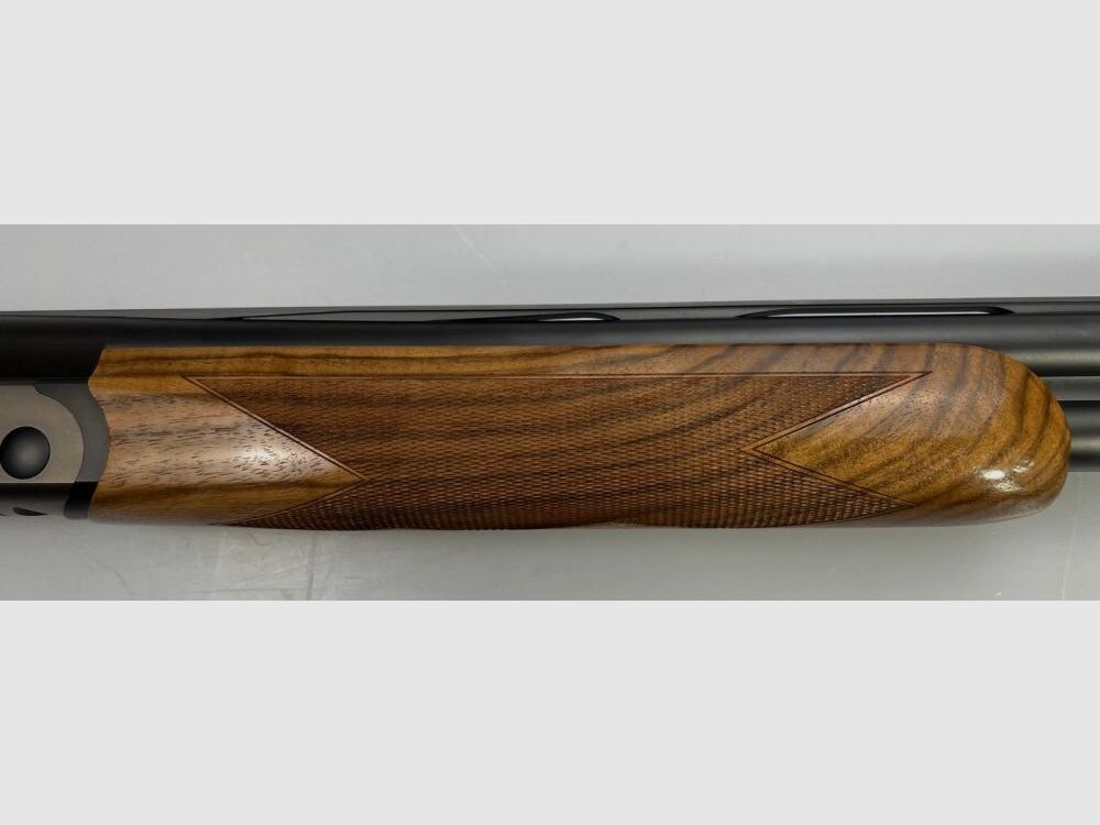 Blaser F16 Game
