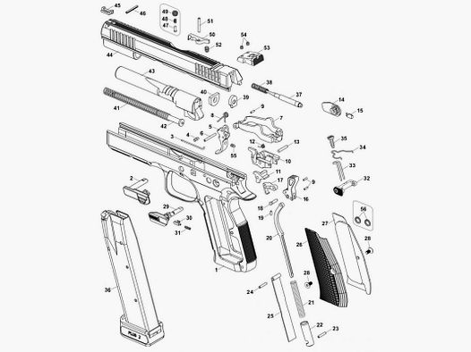 CZ ASTA GUIDAMOLLA SHADOW2 0420-0510-07ND