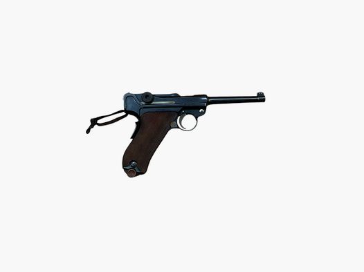 Luger Svizzera 1906