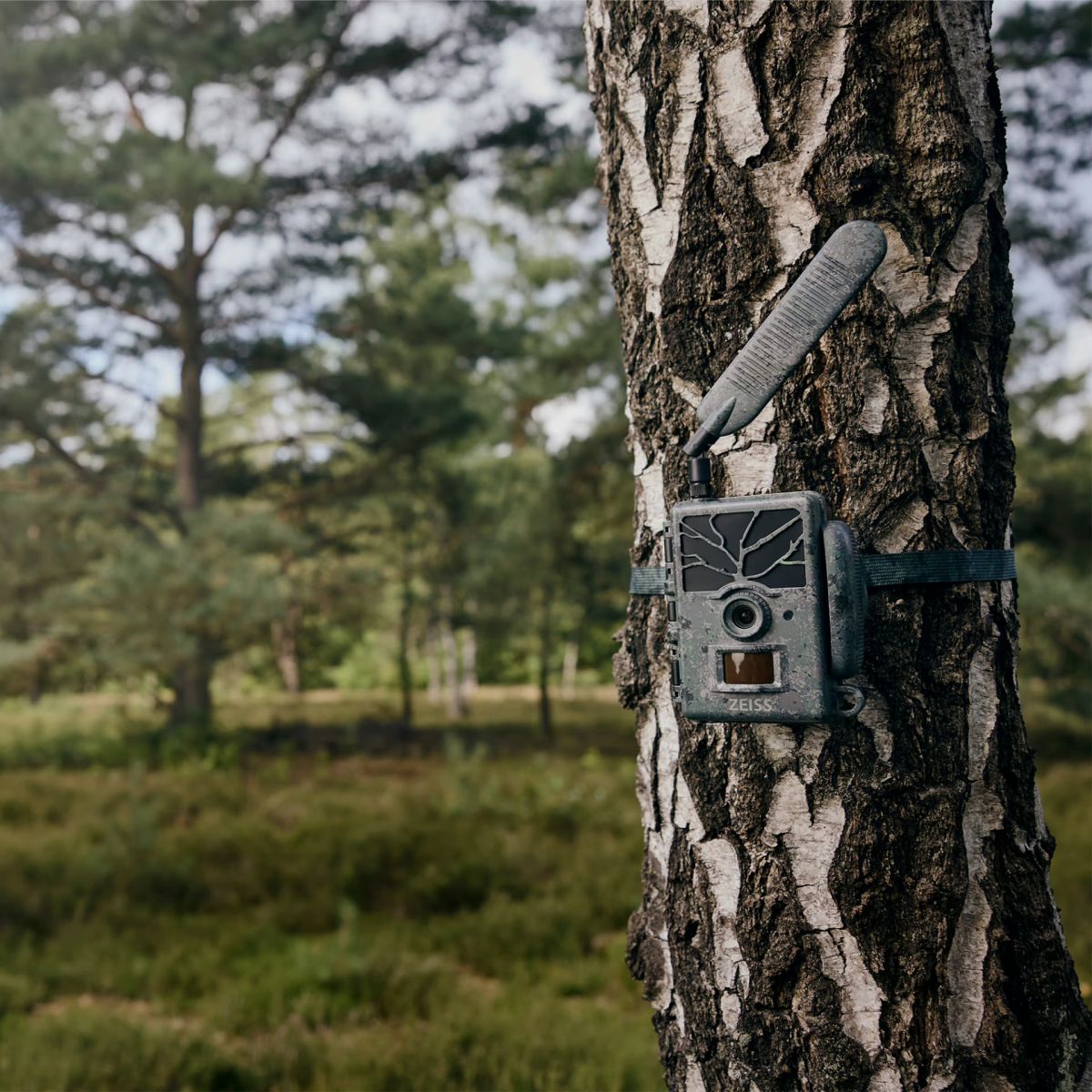 ZEISS Wildkamera Secacam 1 LTE