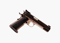 sig sauer 1911 max michel 9×19