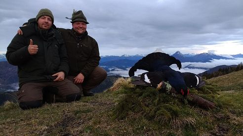 Birkhahnjagd in Österreich - Black grouse hunting in Austria / "Parforce"  von Daniel Weinberger