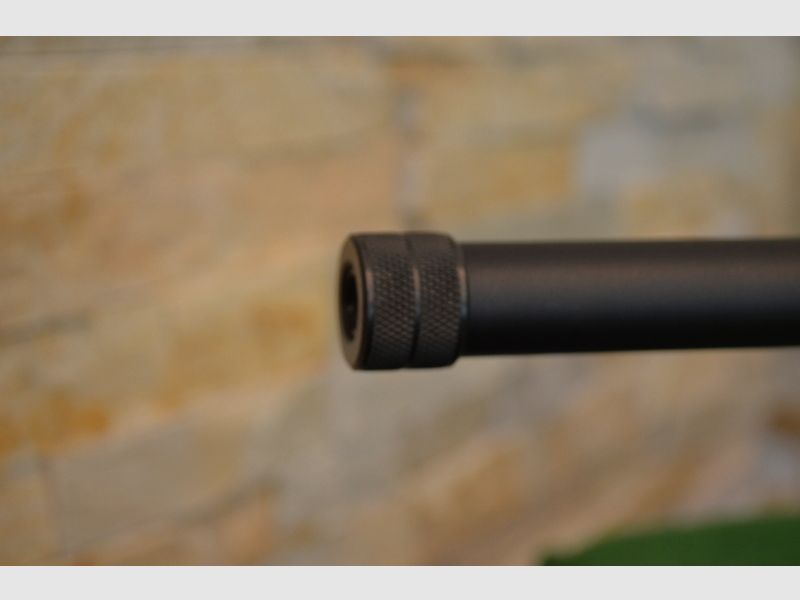 Savage Arms Model 10 FP-SR