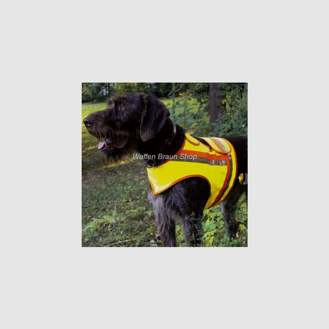 Reflektorweste für Hunde, Gr. 2