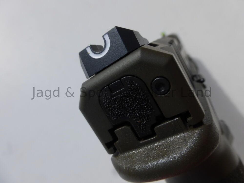 Springfield HS Echolon 4,5" ODG