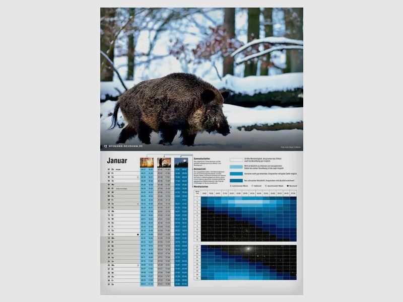 Calendar Saumond 2026