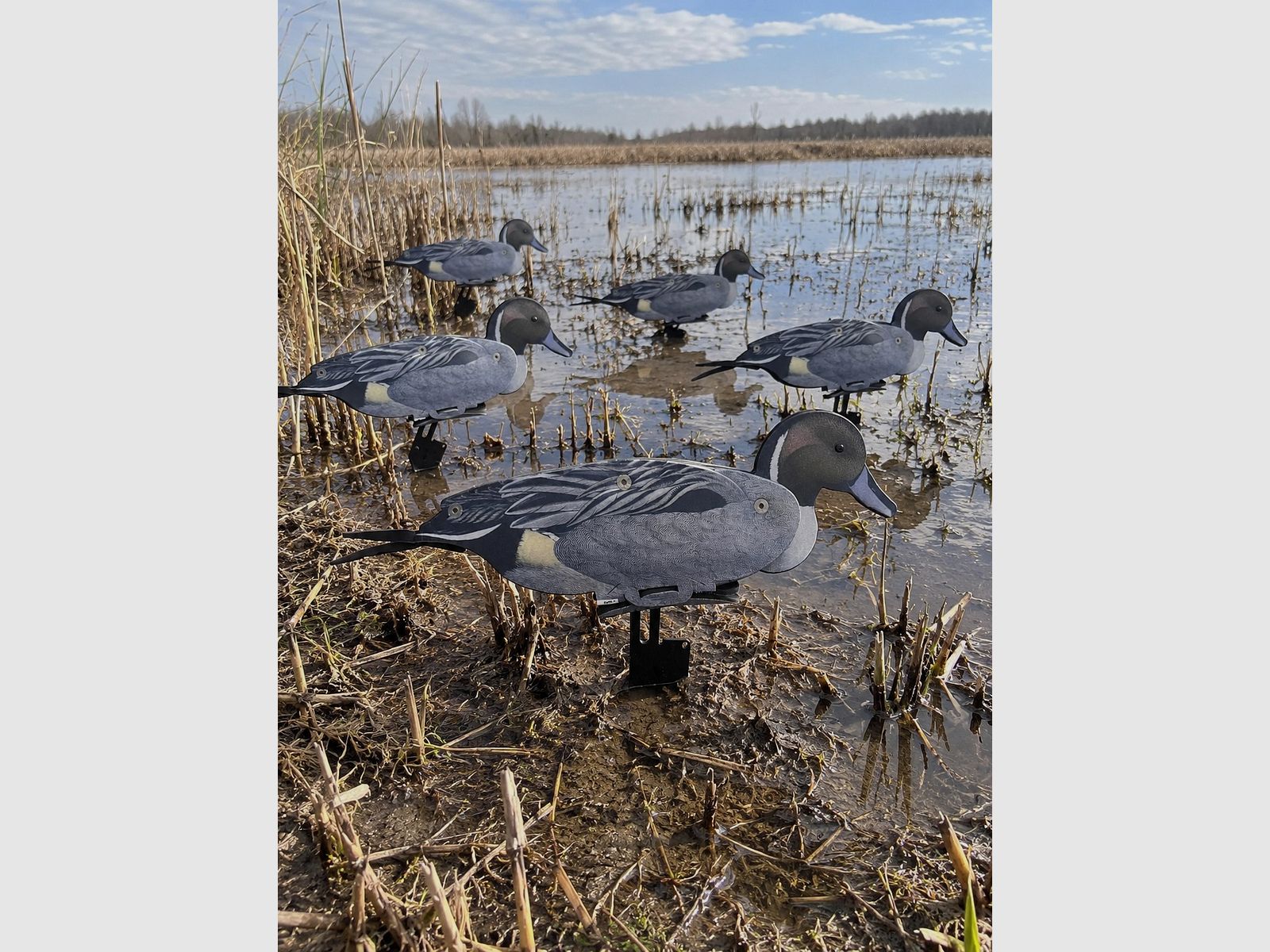 NRA FUD Northern Shoveler 6 sztuk + GOLD-RACE 7,5 ml - Lotto, zdjęcie 8 z 9