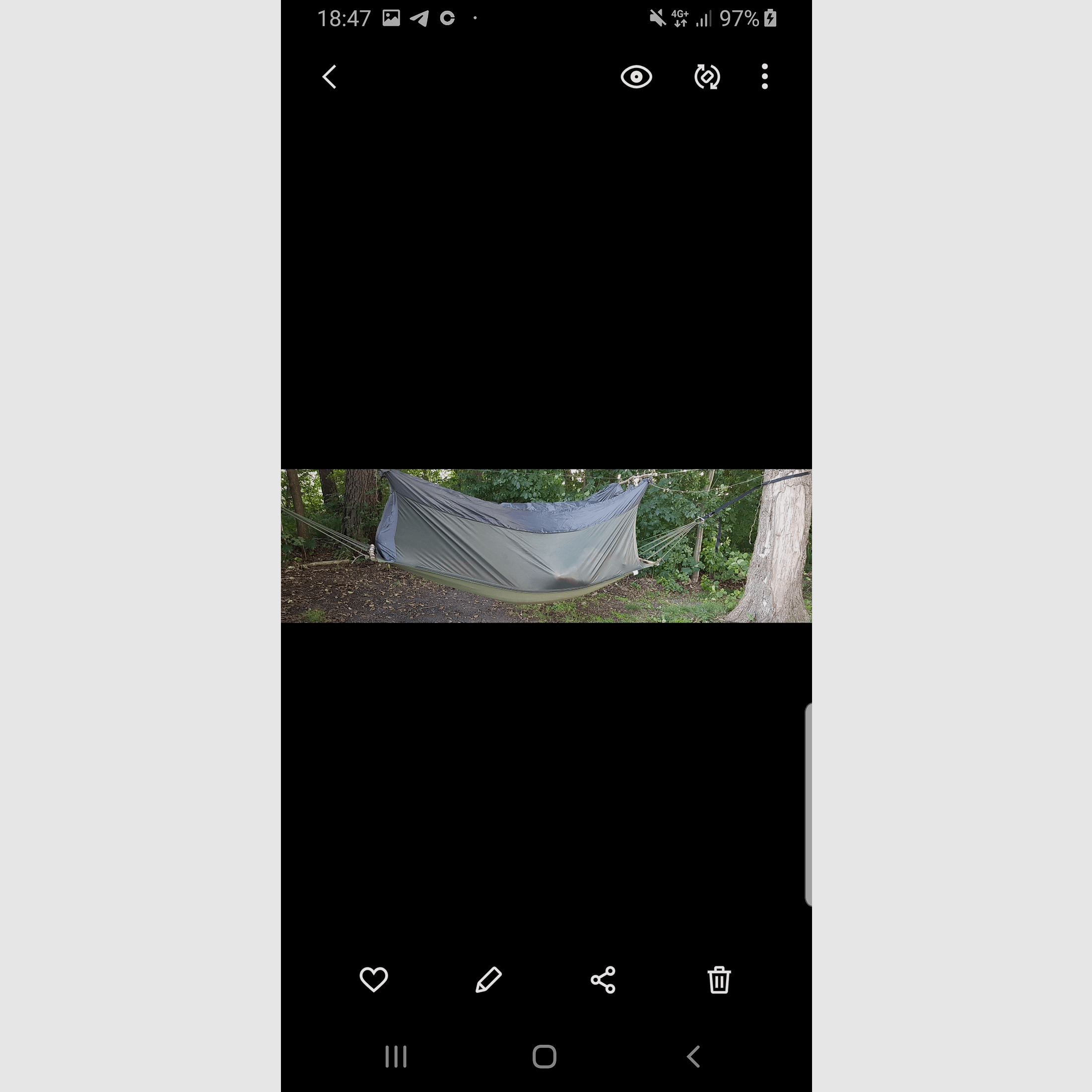Hammock Jungle Legion new
