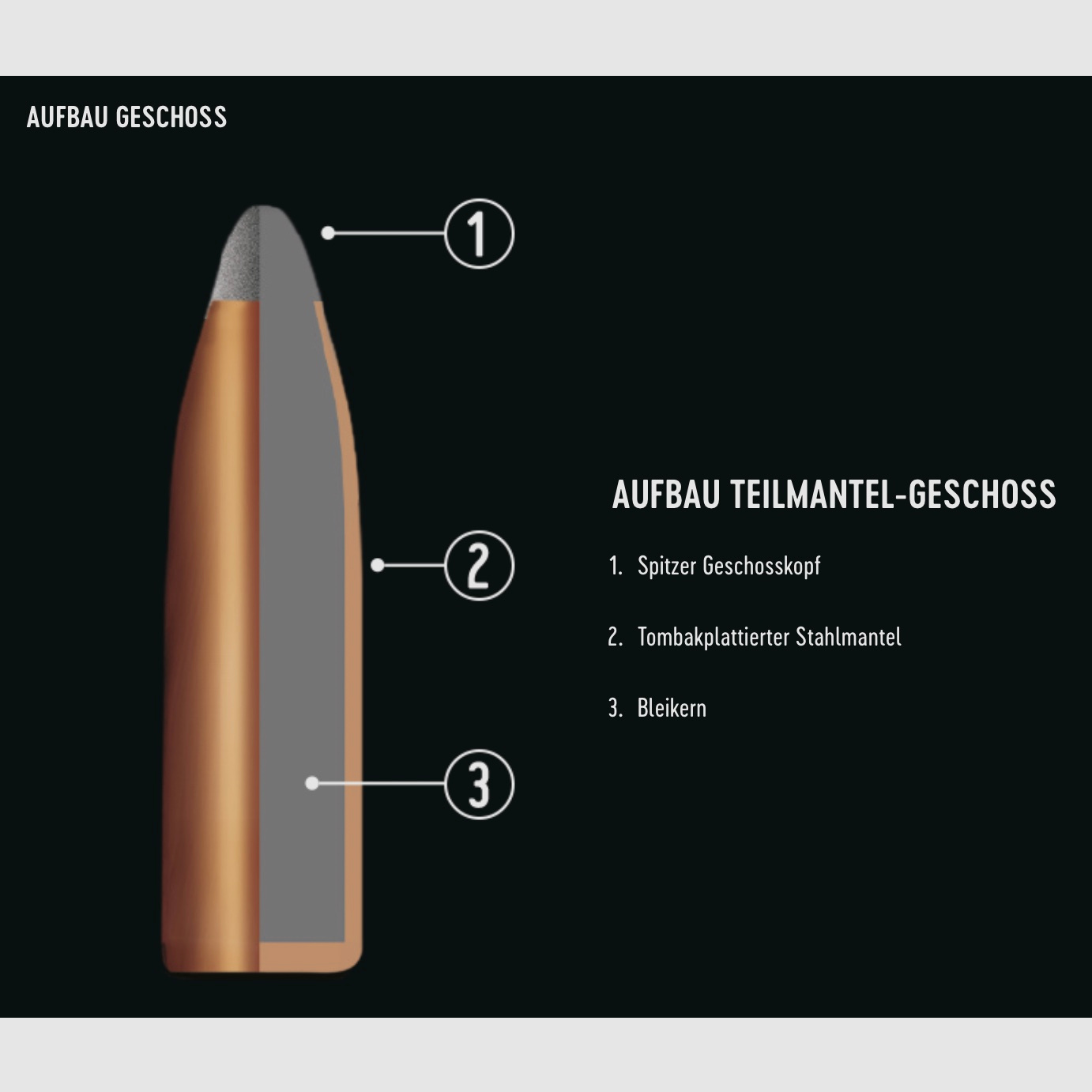 RWS 9,3x74 R proiettile a punta cava R 18,5g 285grs.