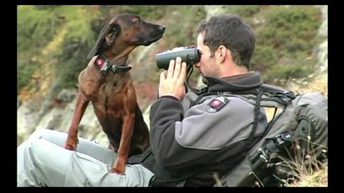 Ranger im Schweizer Nationalpark