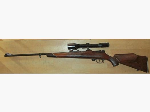 Mauser 66