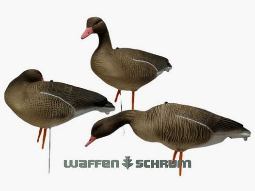 JVS Global Outdoor Decoys Grey Goose Full Body 6 Pack