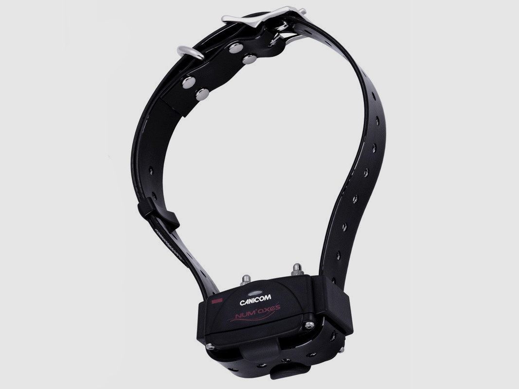 Collier supplémentaire Canicom 800