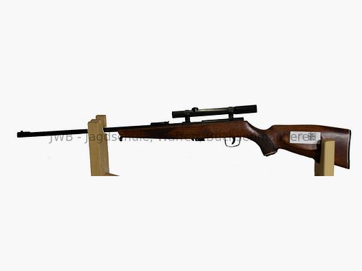 Repeater rifle with .22lr cartridges