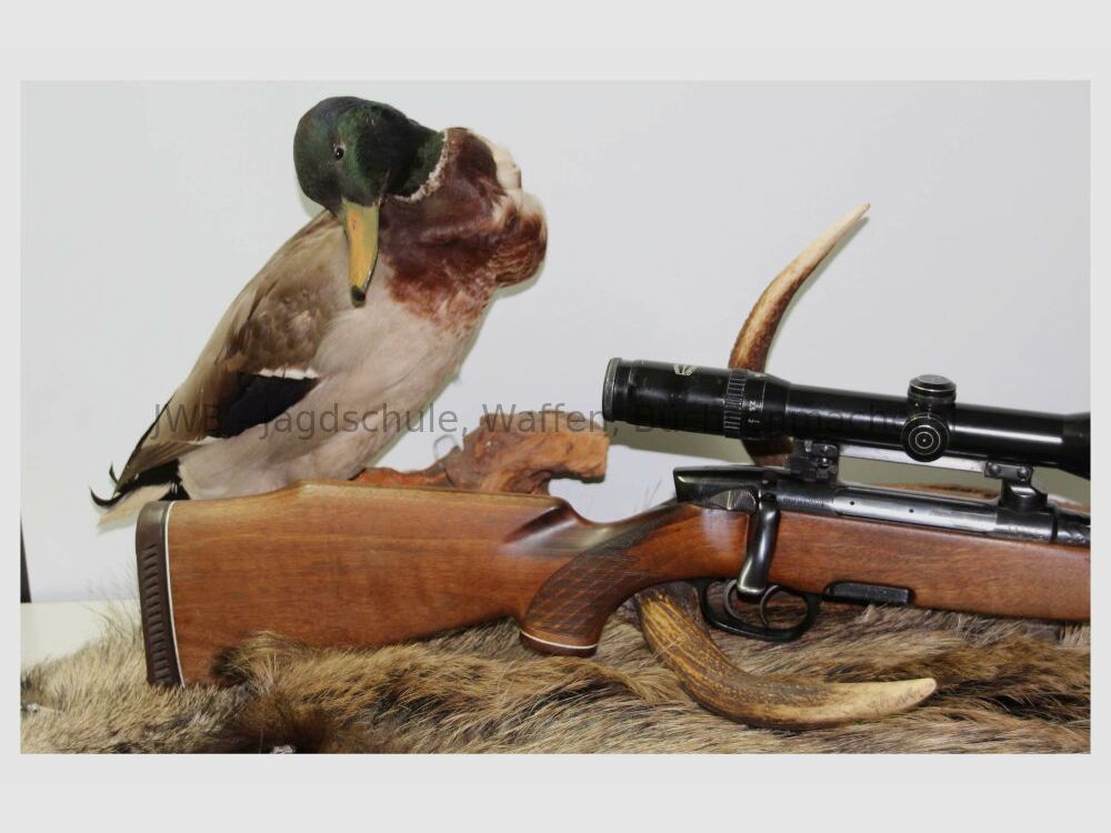 Steyr Mannlicher M mit Schmidt & Bender 2,5 - 10 x 56 7x64