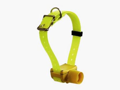 Collar Localización Sonora y Adiestramiento CaniBeep Pro