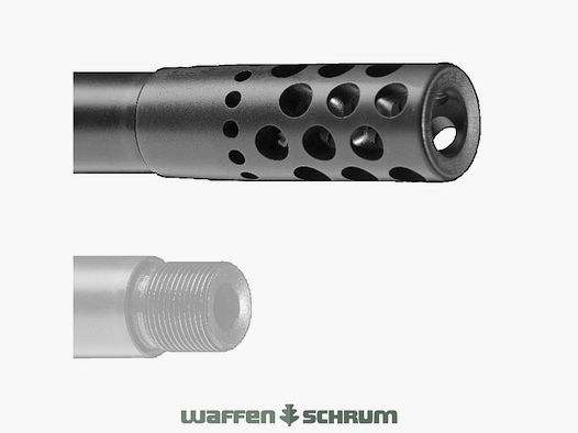 Sauer Dual Brake