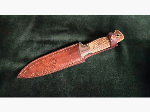 Molto raro coltello da caccia, Puma Fighter Samba Stag coltello da caccia modello 114003
