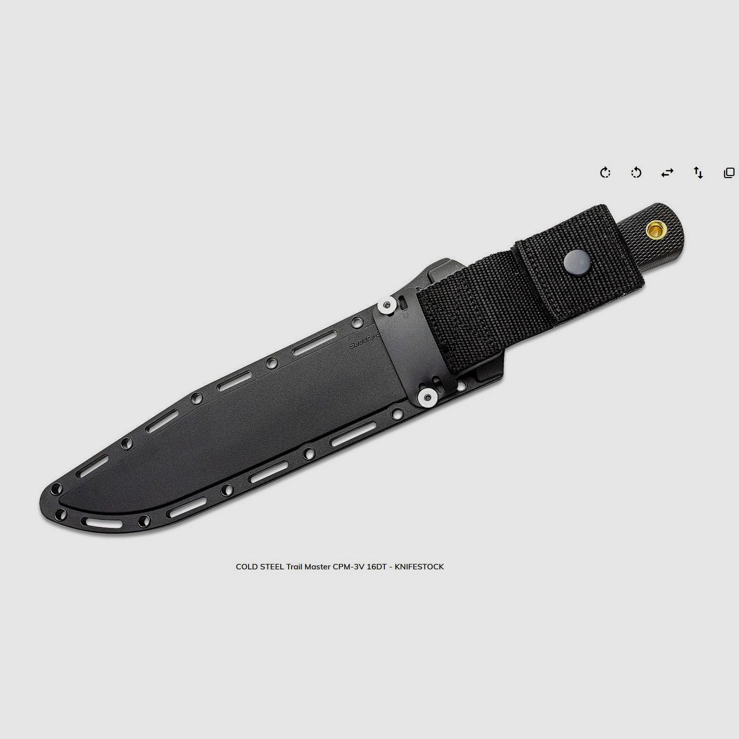 Cold Steel TRAIL MASTER Bowie CPM-3 V