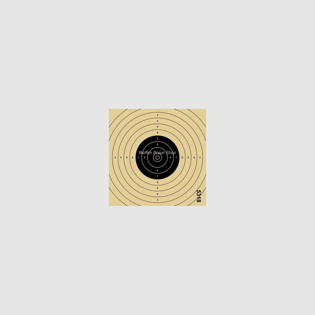 Einsteckspiegel LP passend zu 20/4Format. 13,5 x 13,5 cm, fortlaufend