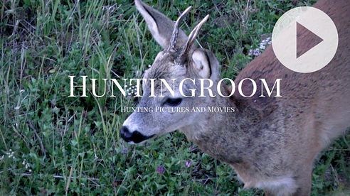 Der Bock passt! A HUNTINGROOM Story #9