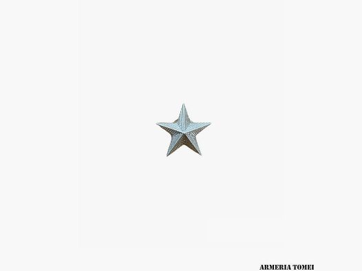 STELLE GRADO ARGENTO (PAAR)