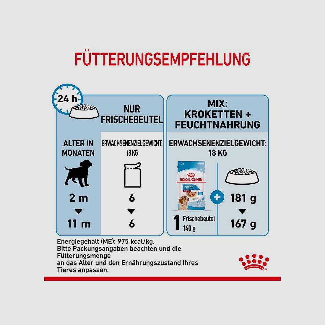 ROYAL CANIN Mittelgroße Hunde Nassfutter Welpen bis zum 12. Monat 10x140 g
