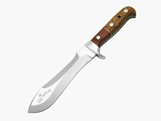 PUMA white hunter, lion