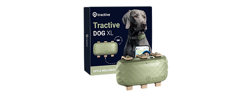 Tractive DOG XL