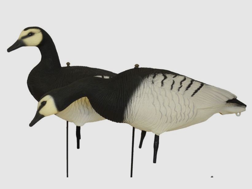 Prodecoys richiami di oca facciabianca, 12 pz., Full Body, immagine 5 di 5