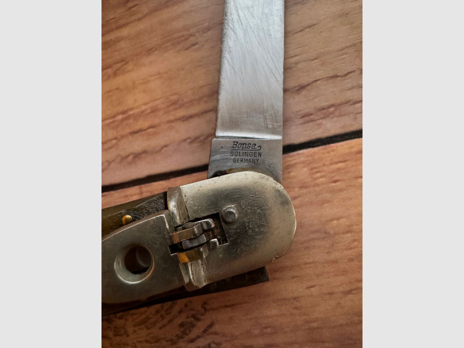 Collezione coltello pieghevole Springer Bonsa Solingen manico in corno di cervo Wingen