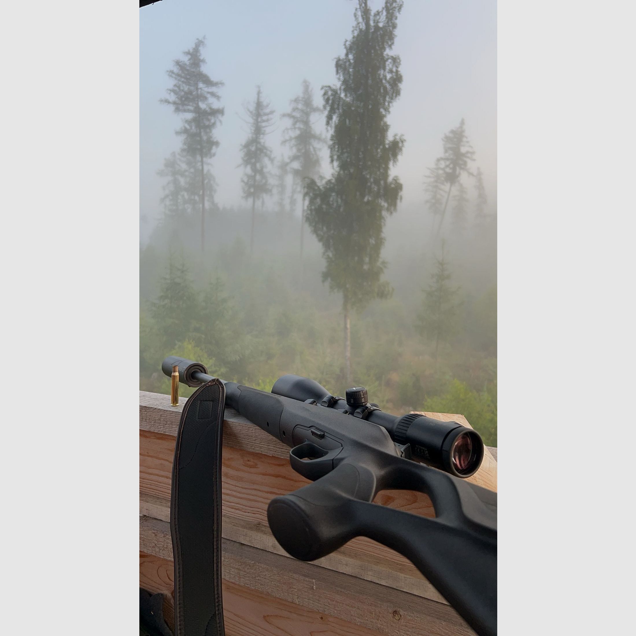 Blaser R8 Professional Success 