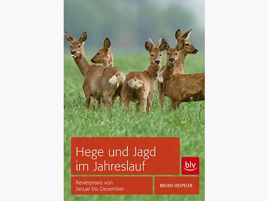 Hege und Jagd im Jahreslauf – Revierpraxis von Januar bis Dezember