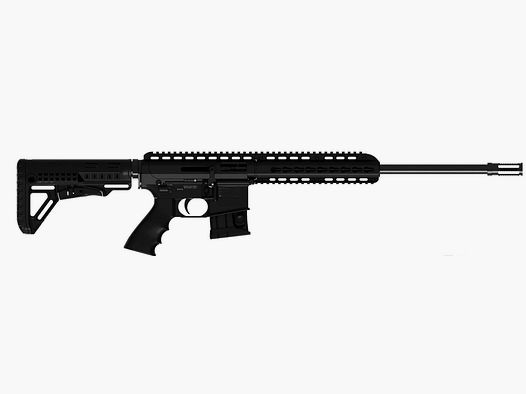 Pallas BA16-22 .22LR carabine à répétition KK look AR15 1/2x20UNF noir