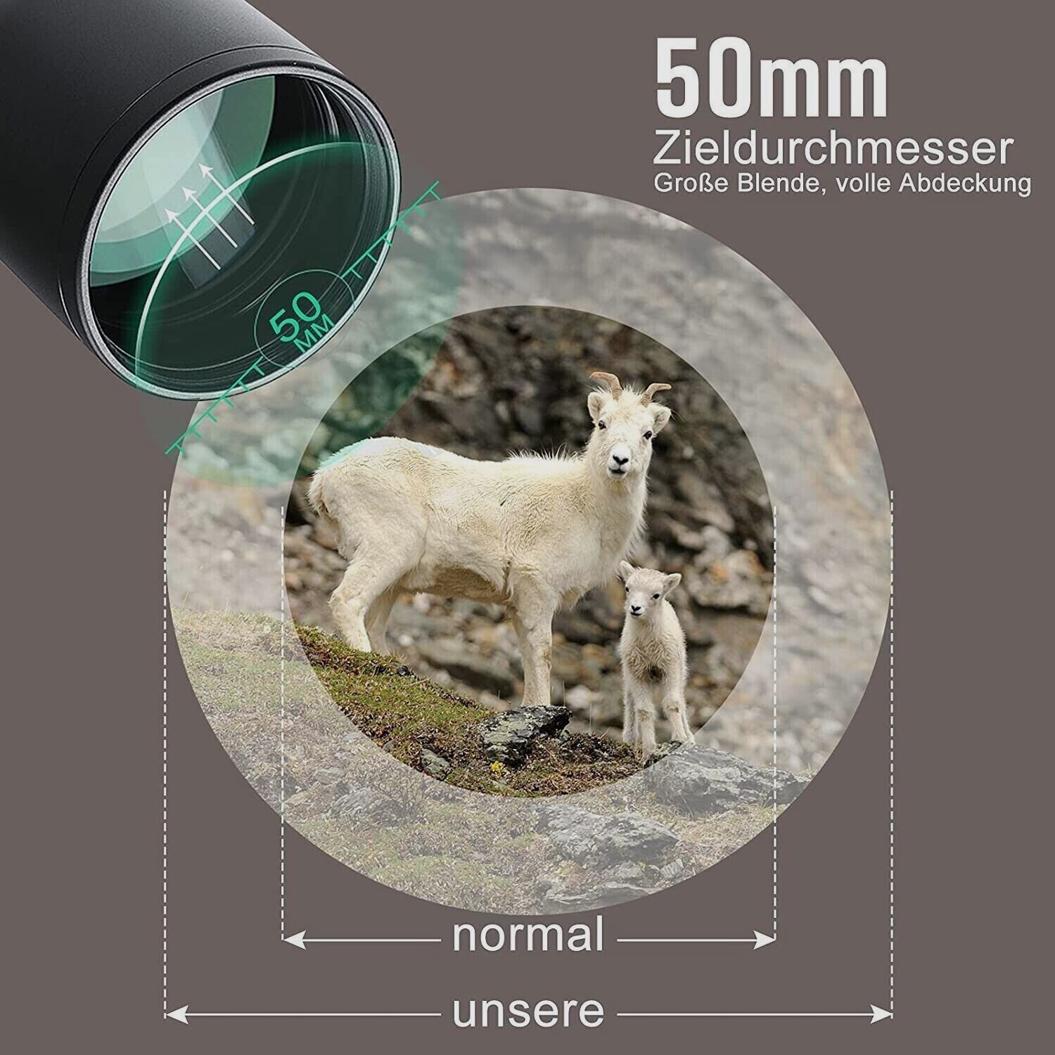 6-24x50 Gewehrzielfernrohre inkl. 11mm,Rot&Grün,für Jagd Softair und Sport