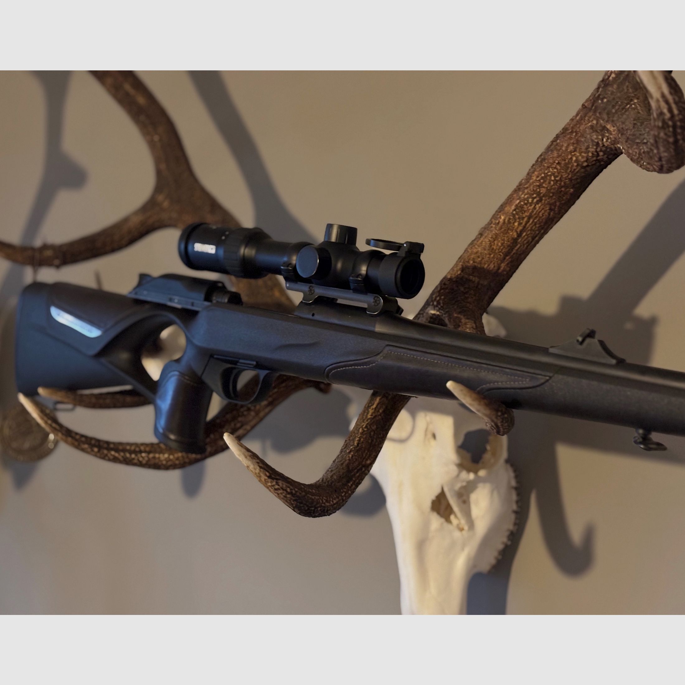 Blaser R8 cuero soporte / ÉXITO profesional.