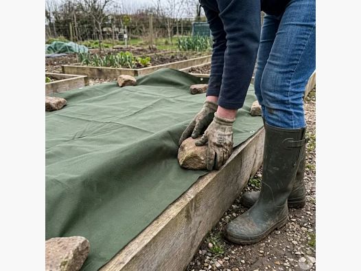 Non-woven cover 30 gsm garden protection