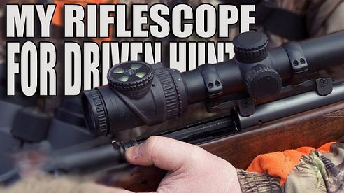 Hunting gear - My riflescope & sights for driven hunt - Trijicon Accupoint 1-6x24 & MRO