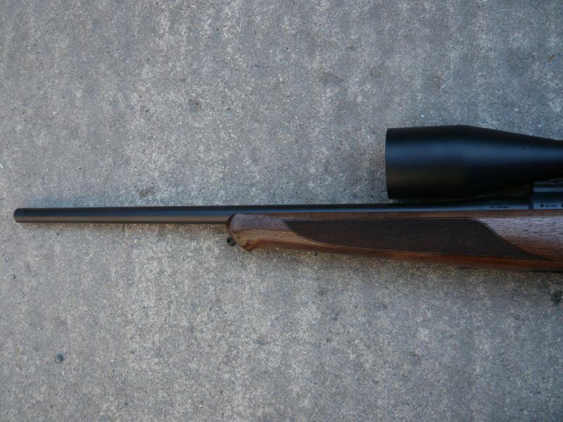 Sauer 101