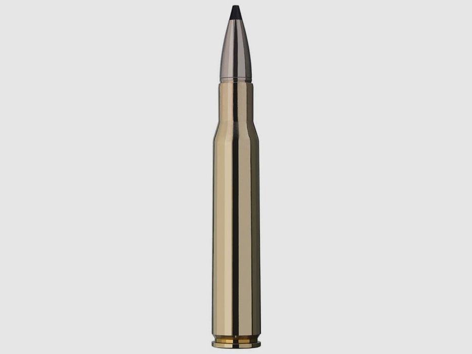 Balles RWS Speed Tip Pro - Cal. 7x64, image 2 sur 5