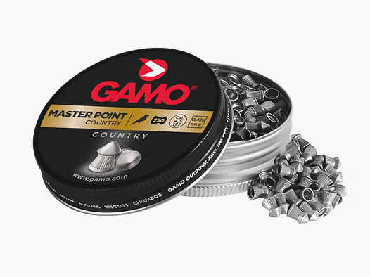 Gamo Master Point cal. 4,5