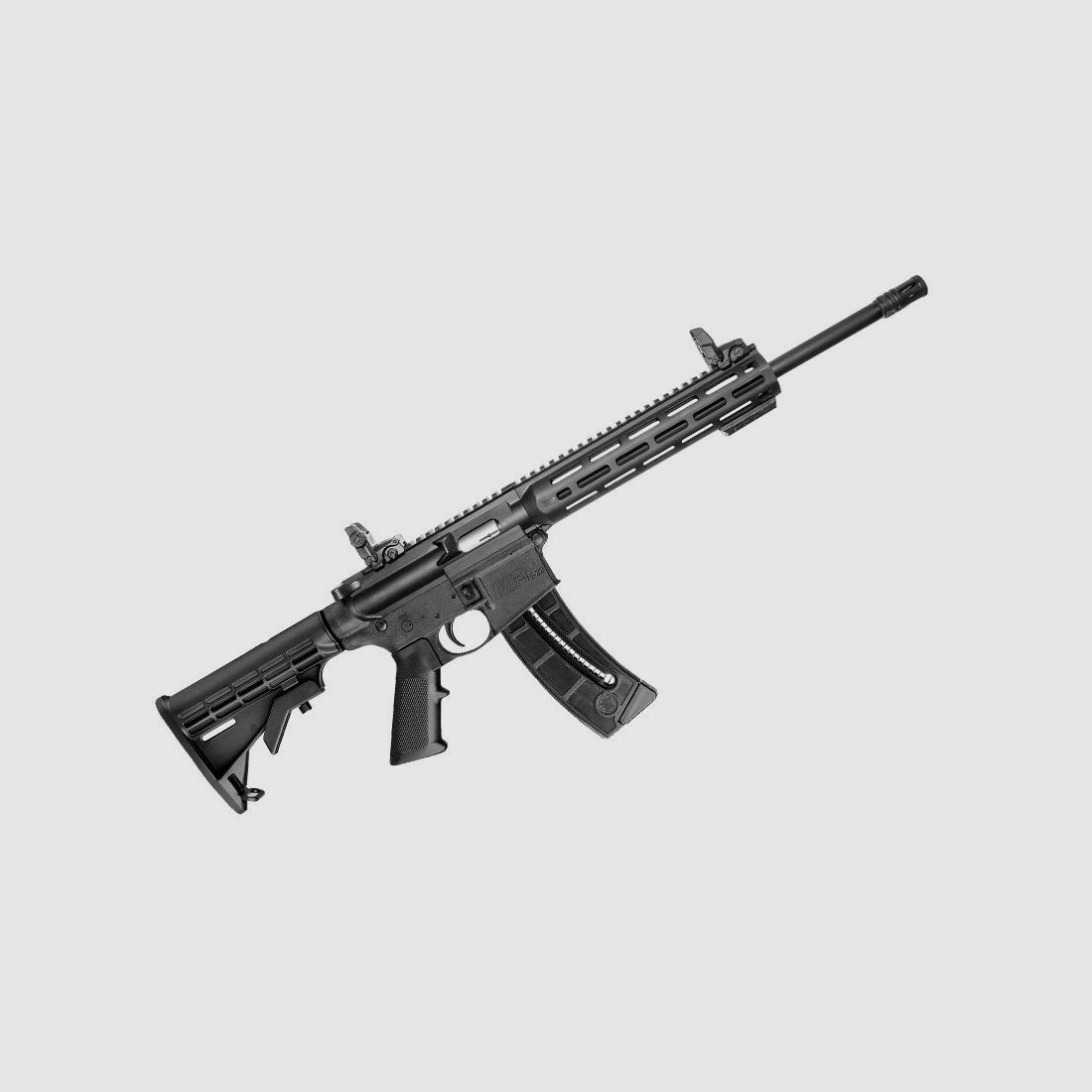 Selbstladebüchse Smith & Wesson M&P15-22 Sport, Bild 1 von 9