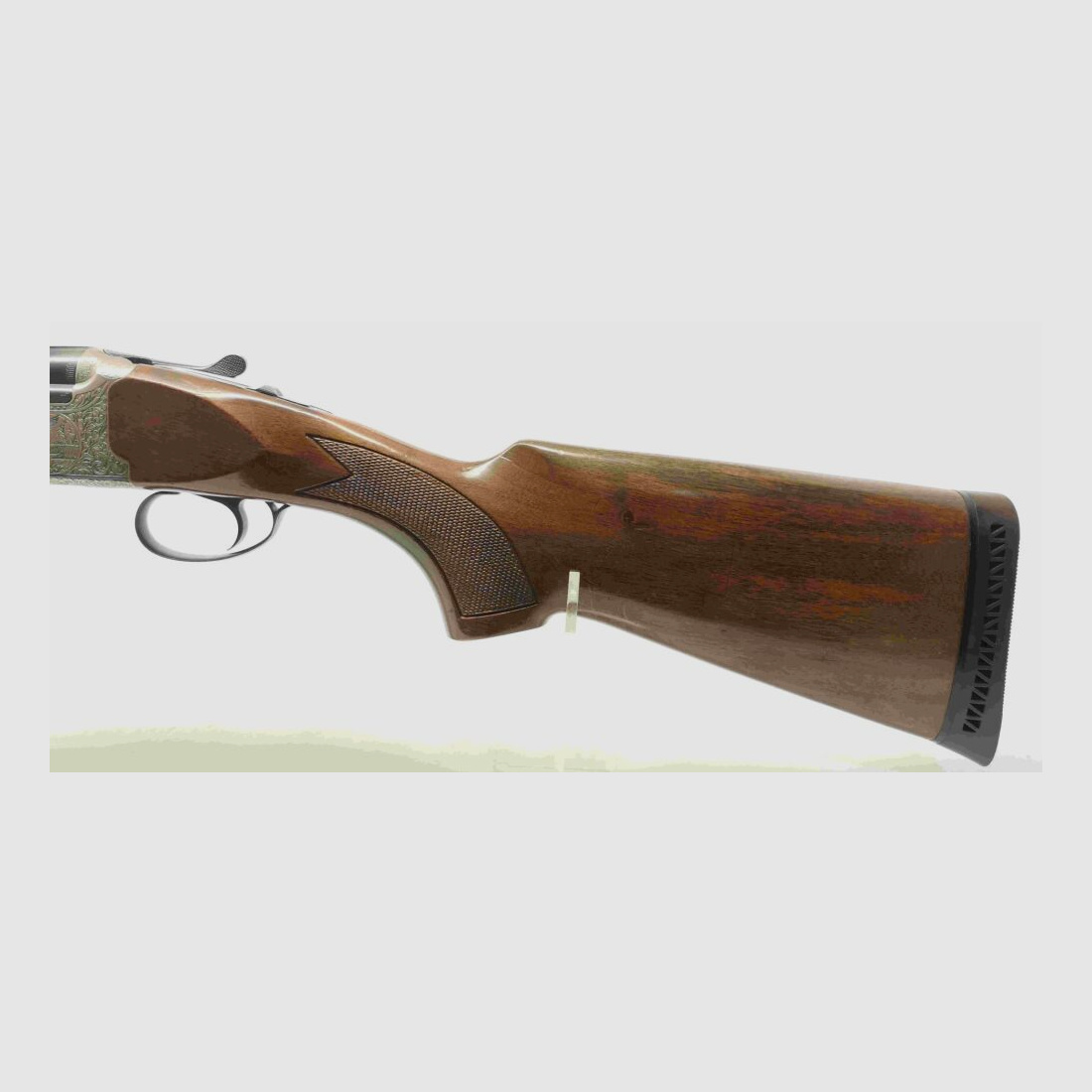 Kettner Campione
