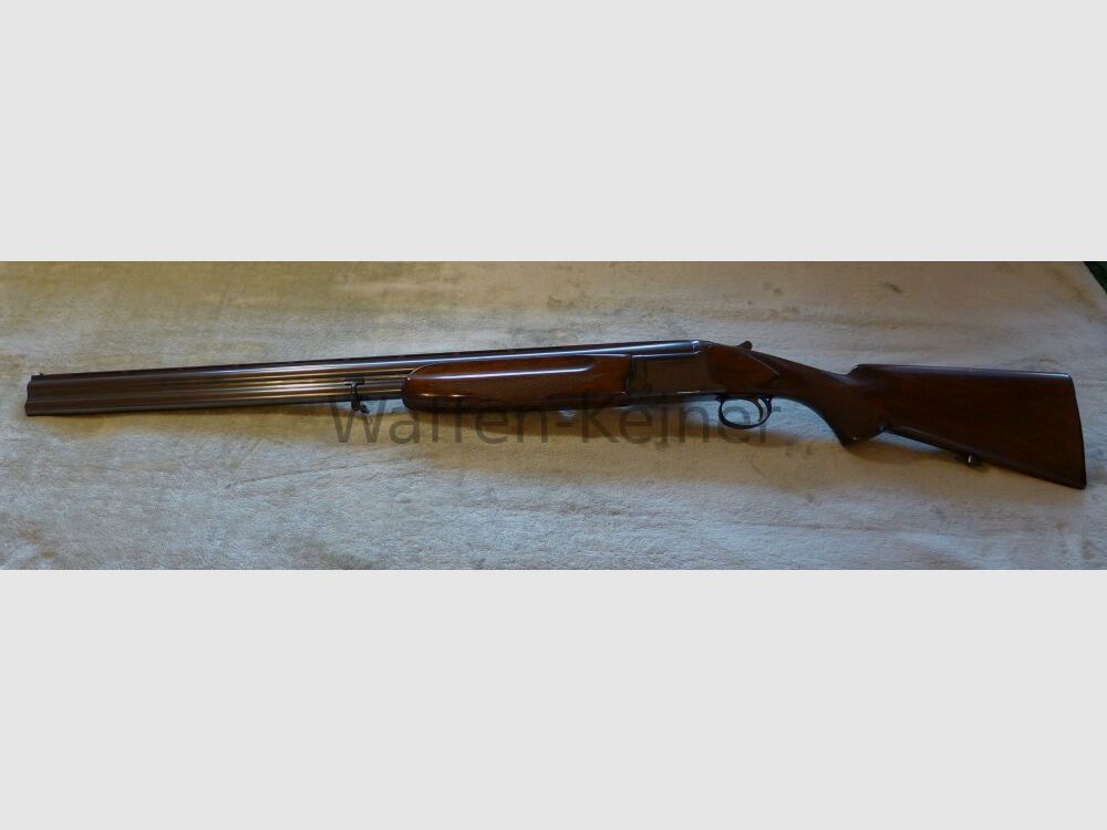 Kettner Mistral, zdjęcie 1 z 4
