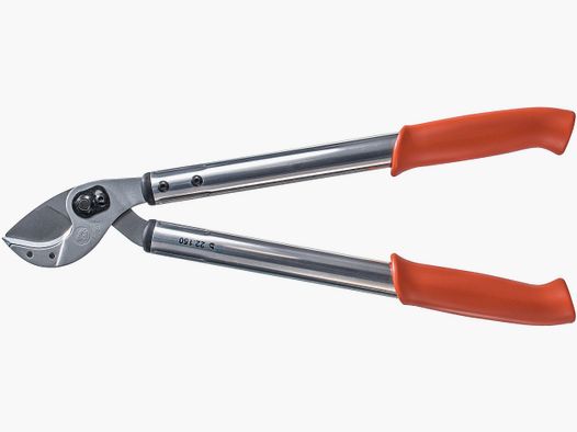 Lion hunting scissors 22.150