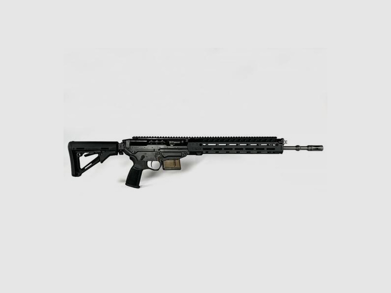 Sig Sauer SG 560 Sport