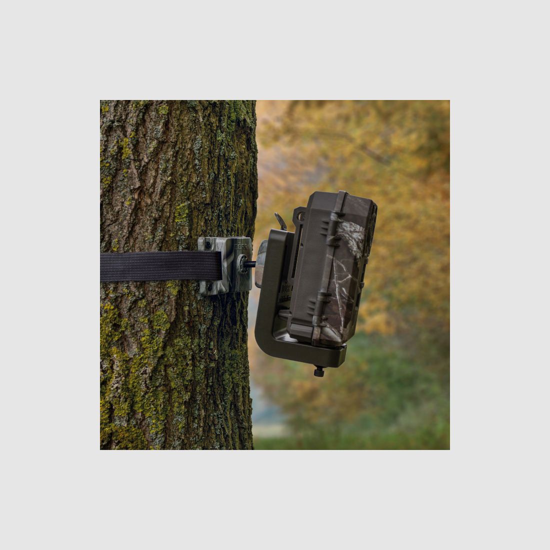 Dörr Universaladapter Uni-1 für Haltesystem