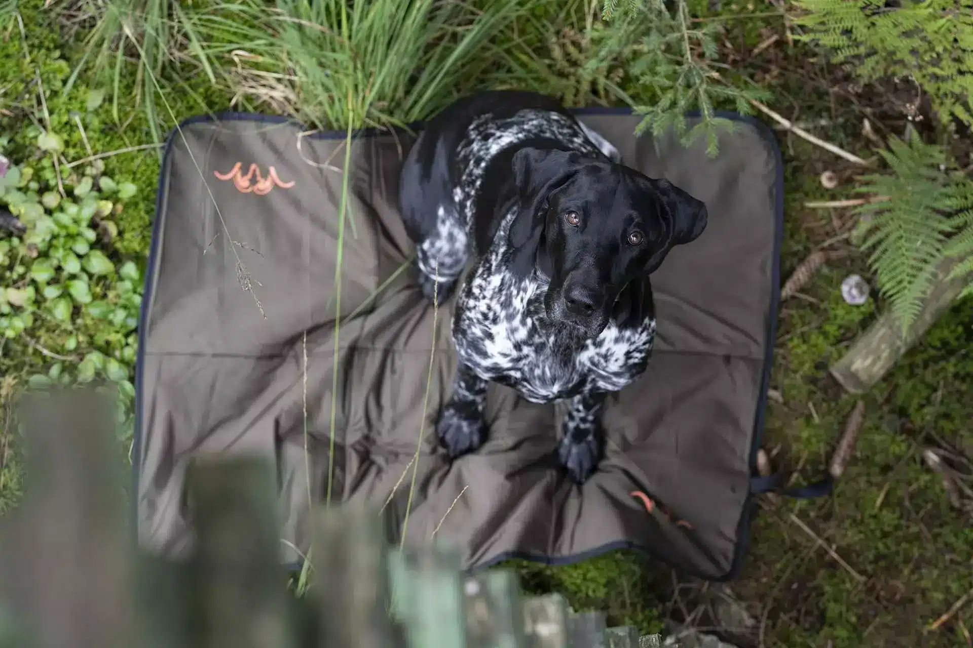 Blaser Hundedecke HunTec Camo 70×100 cm, Bild 5 von 5